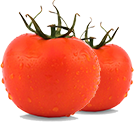 Вырастить помидоры в теплице